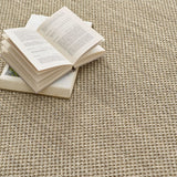 Sisal- Light Sand - Beige Border -  Origins-  Phoenox Rugs