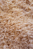 Soft Washable- Cosy - Champagne -  Shaggy - Melrose Interiors